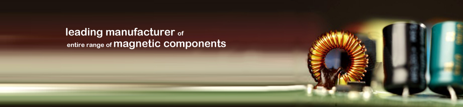 leading manufcaturer of entire range of magnetic components